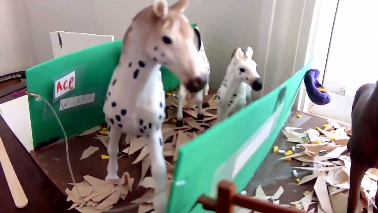 showing you the horses,animals and humans and telling you their name