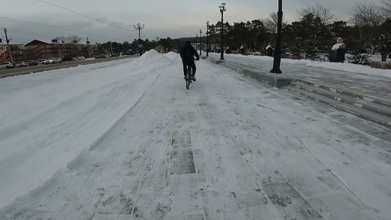 Тестим бензовел