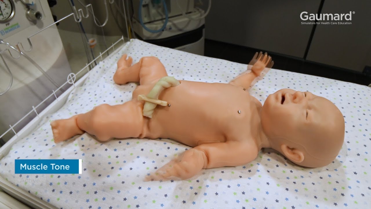 Gaumard® Super Tory® S2220: Neurologic Features How-To Episode 6/11