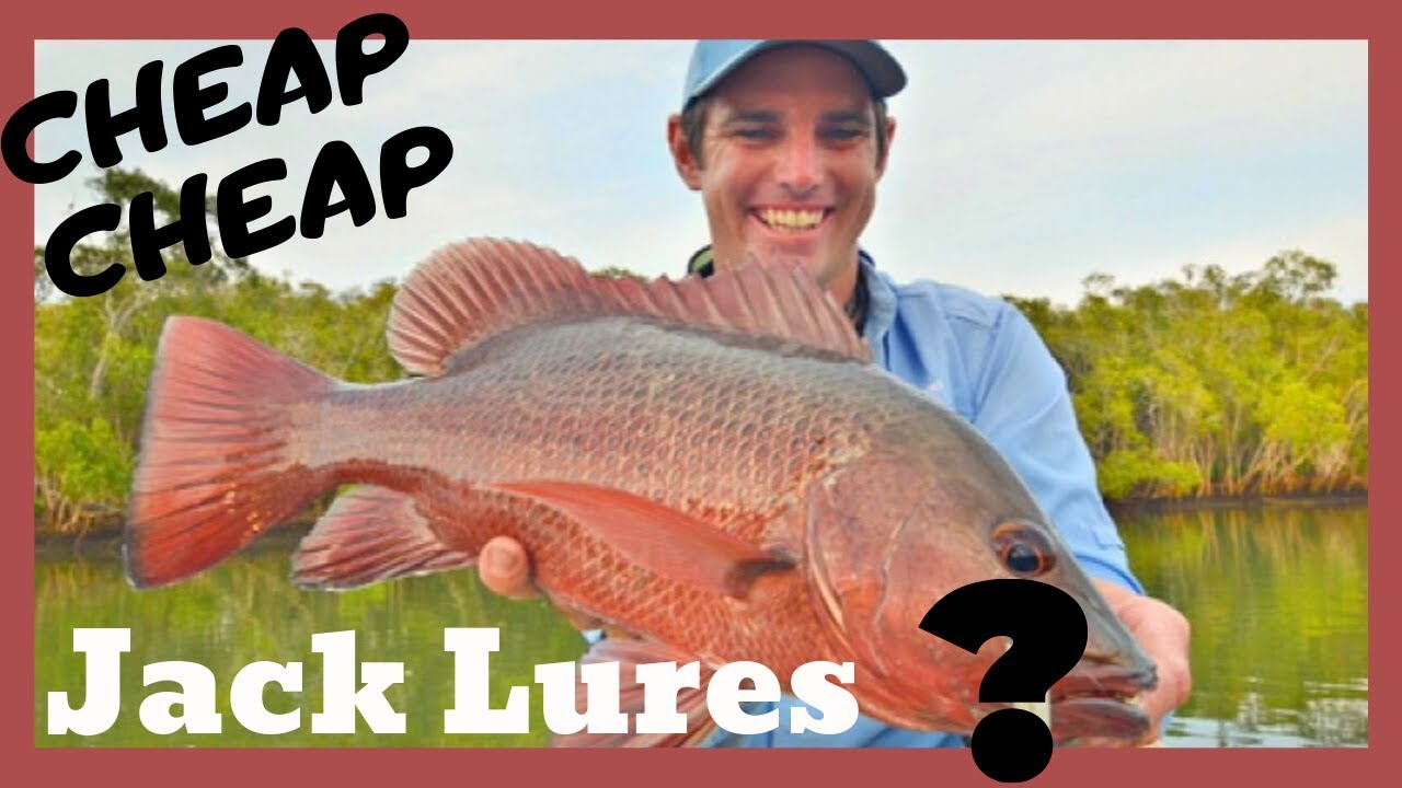 THE BEST CHEAP LURE! Underrated Mangrove Jack Hard Bodies