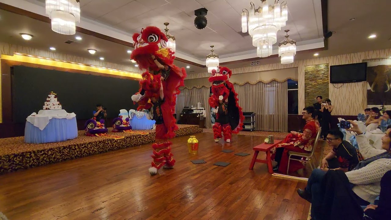 Red Lotus Lion Dance | Asian Pearl Wedding Performance