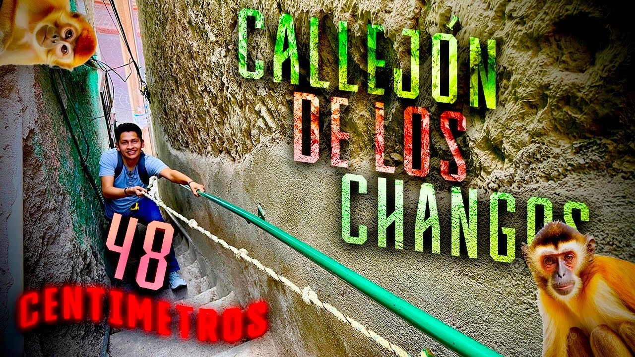 EL CALLEJÓN MÁS ANGOSTO DE TODA LA CIUDAD 🔴 SOLO 48 CENTÍMETROS❗️😱🏙️🐒🦧