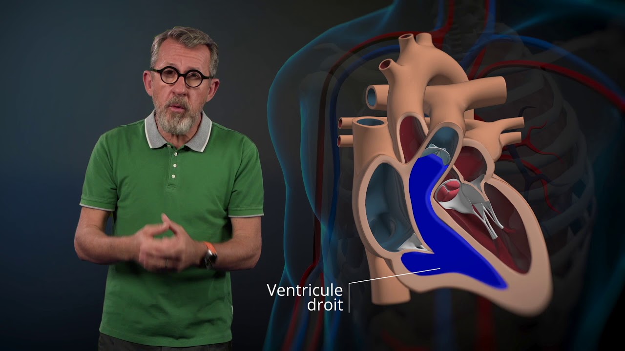 Le fonctionnement du cœur expliqué par Jamy