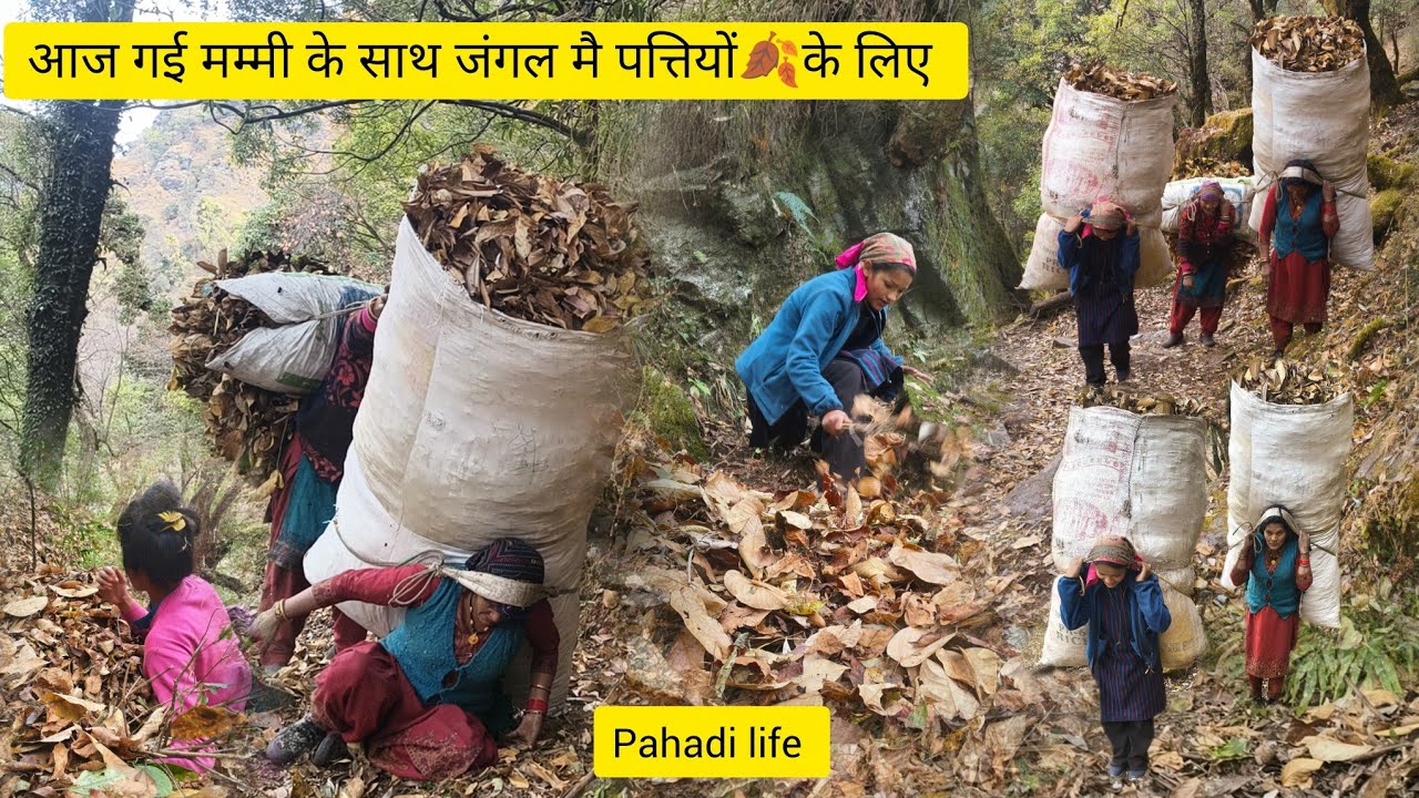 फर्स्ट टाइम गई मम्मी के साथ पत्तियों के लिए 🍁🍂 बेस्टमेमोरीज पहाड़ीलाइफ़स्टाइल ब्लॉग#phadilifestyle 