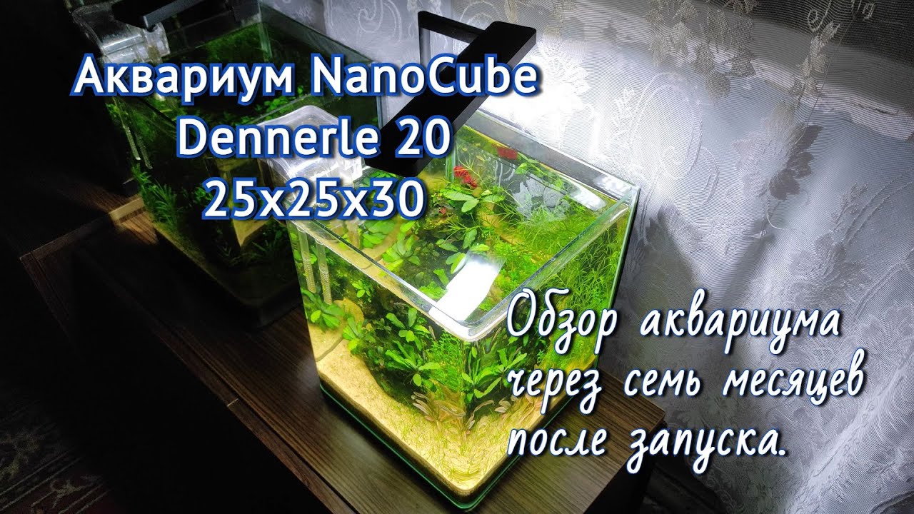 Аквариум NanoCube Dennerle 25х25х30.