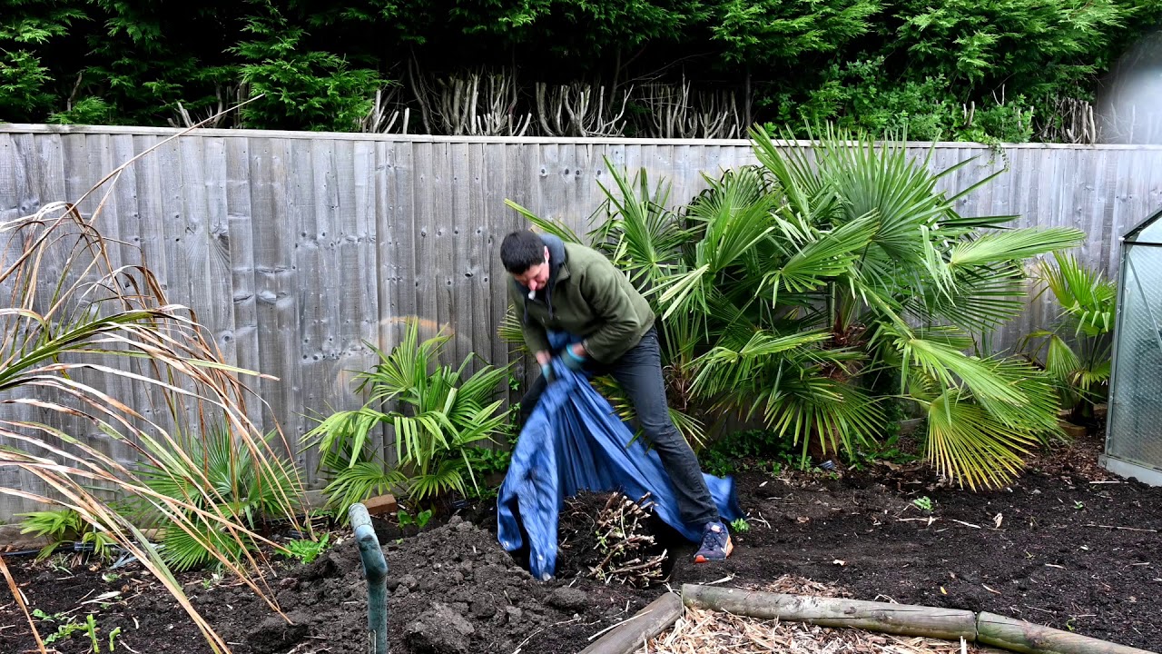 Exotic Gardening UK Yorkshire Kris Episode 99