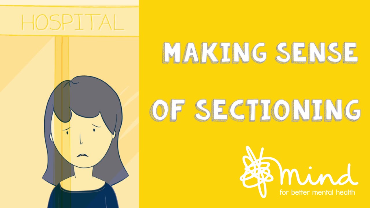 Making sense of sectioning