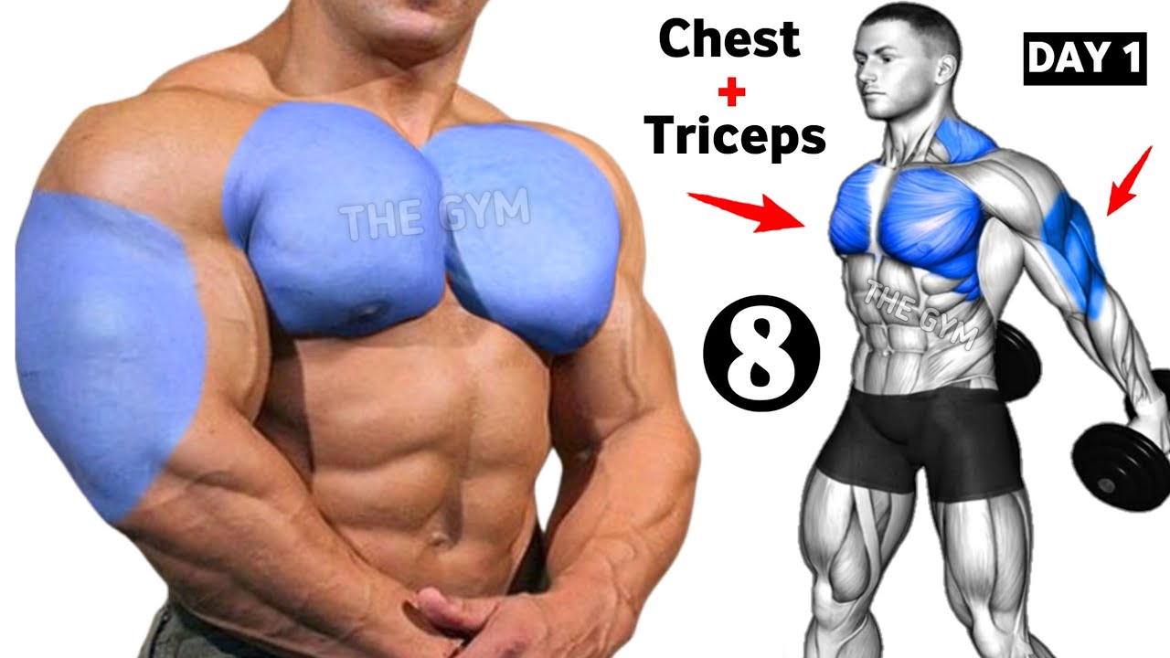 Perfect Chest & Triceps Workout (8 Effective Exercises)