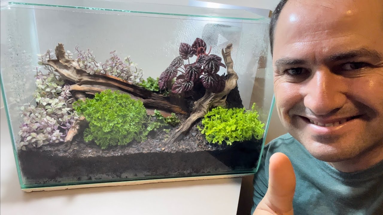 TERRÁRIO EM AQUÁRIO É SUPER FÁCIL DE FAZER