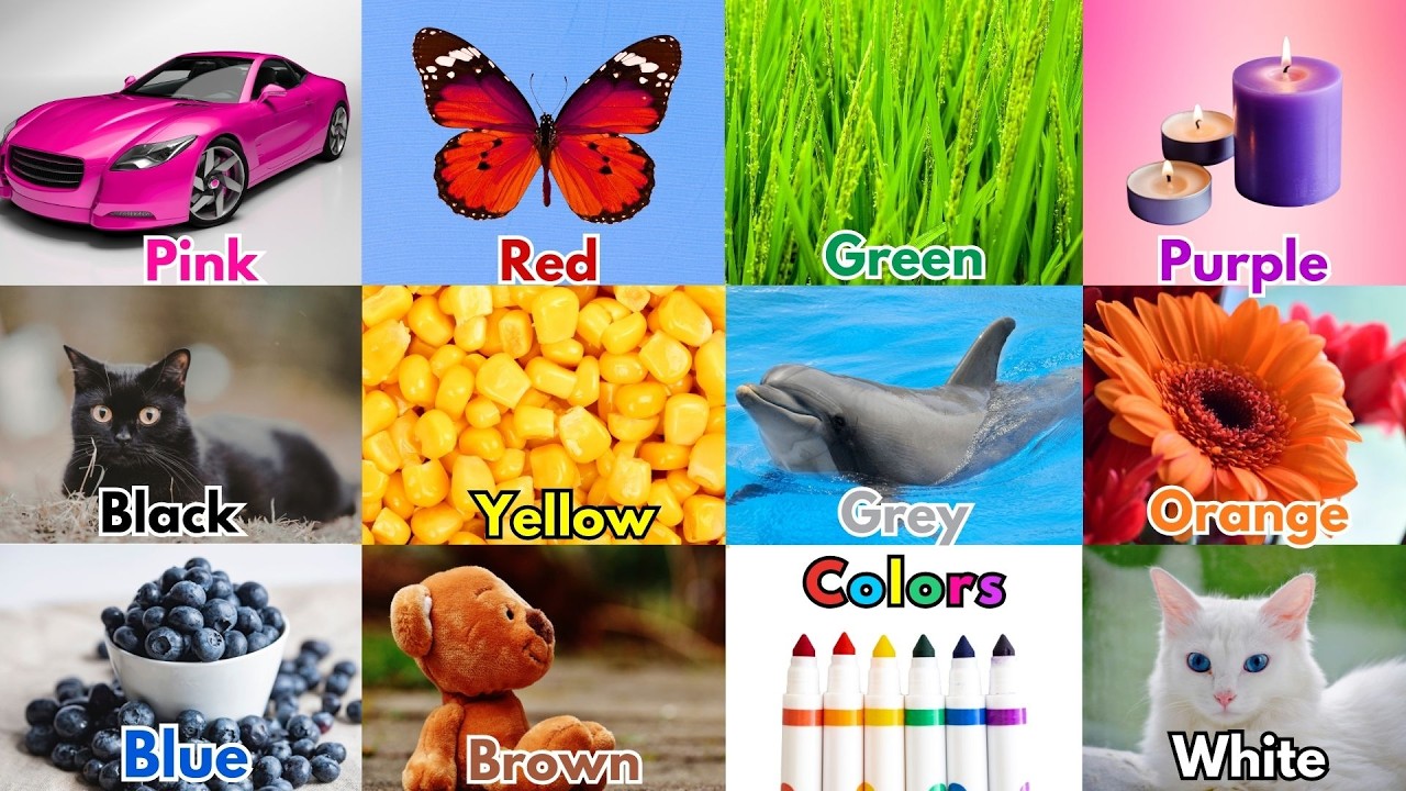 We Love All the Colors|Color Vocabulary Song|Nursery Rhymes & Kindergarten Songs|English Colors Song