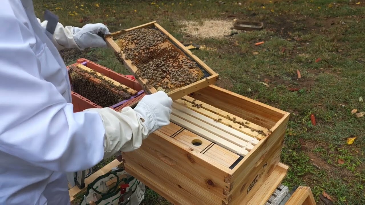 Adding a Nuc to a New Hive ! New channel is 