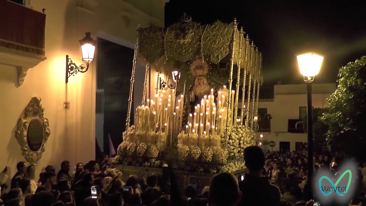 Concepción Sanlúcar la Mayor - Recogida 2019
