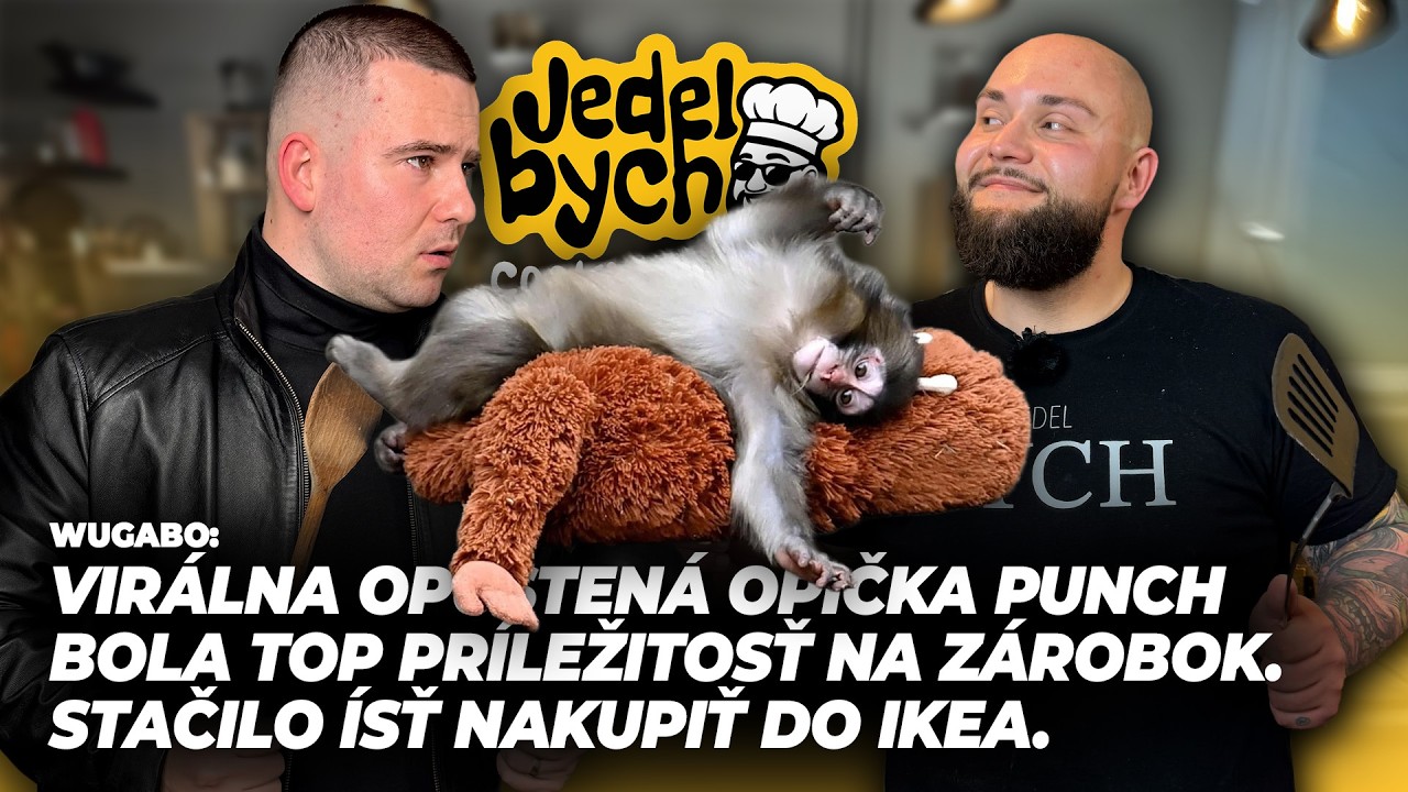 Wugabo: Virálna opustená opička PUNCH bola top príležitosť na zárobok. Stačilo ísť nakupiť do IKEA.