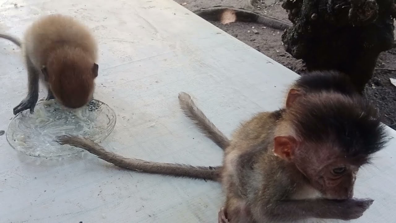 Кк