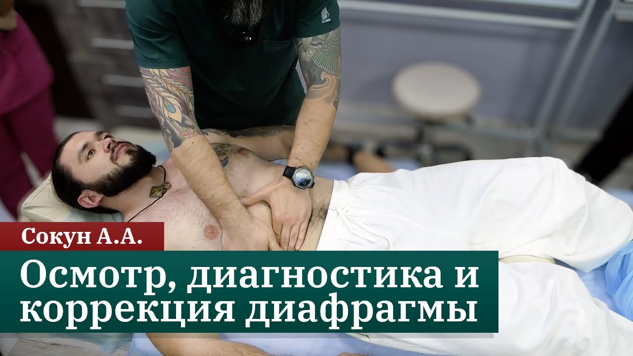 Метод «сухой иглы»: осмотр, диагностика и коррекция диафрагмы. Сокун А.А.