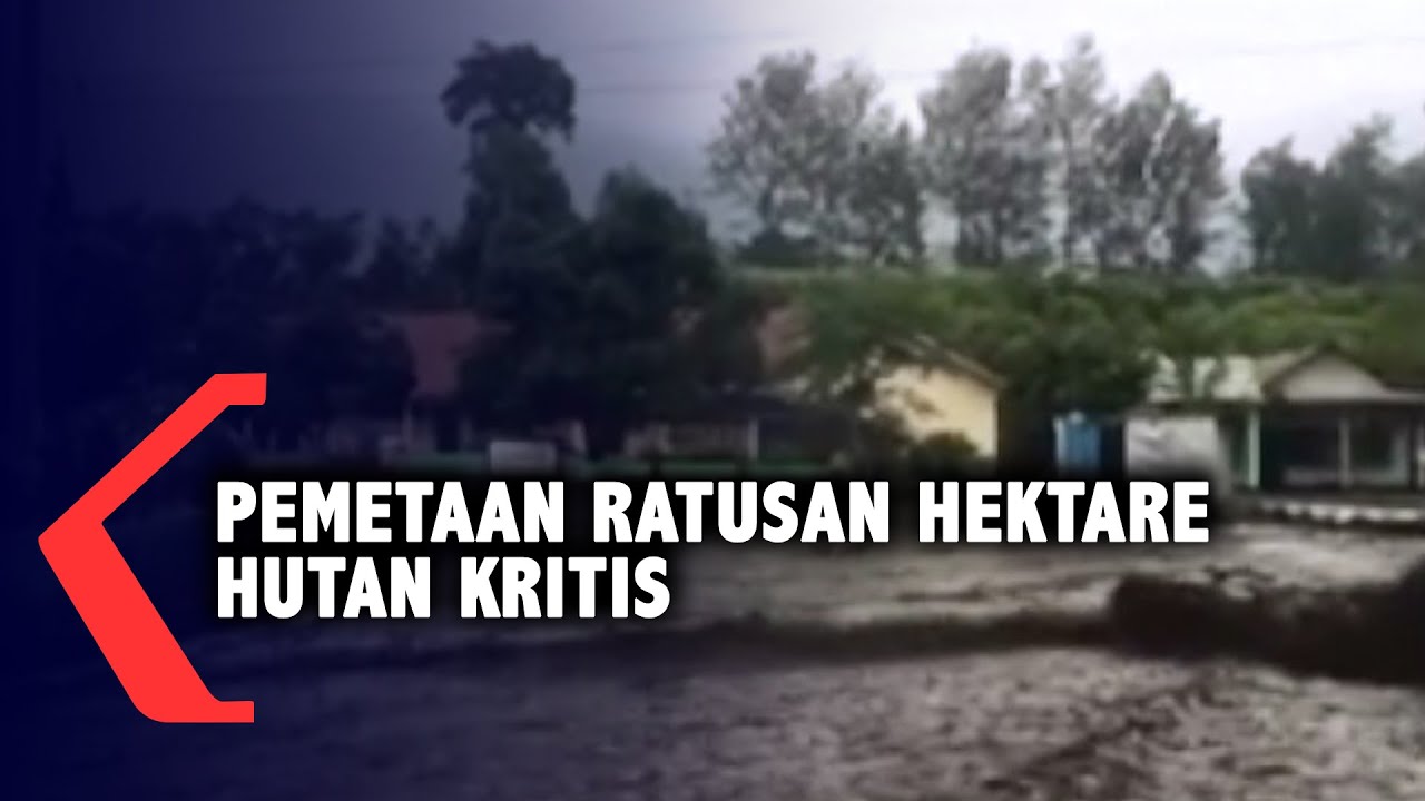 Pemetaan Ratusan Ribu Hektare Hutan Kritis