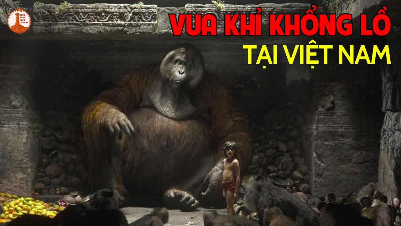 HANG THẨM KHUYÊN - Bí Ẩn “Vua Khỉ Khổng Lồ” Và Phát Hiện Rúng Động Năm 1964