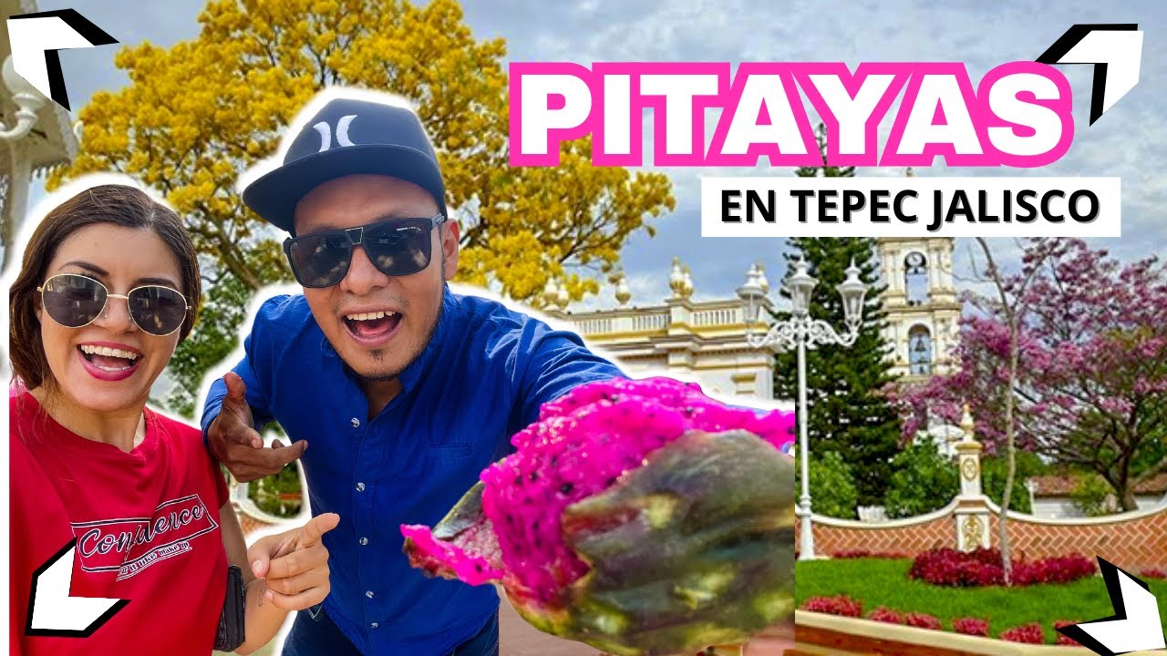 🌵PITAYAS La Fruta más Exótica y Cara || En Tepec Jalisco Tierra de Músicos y Pitayas🍅