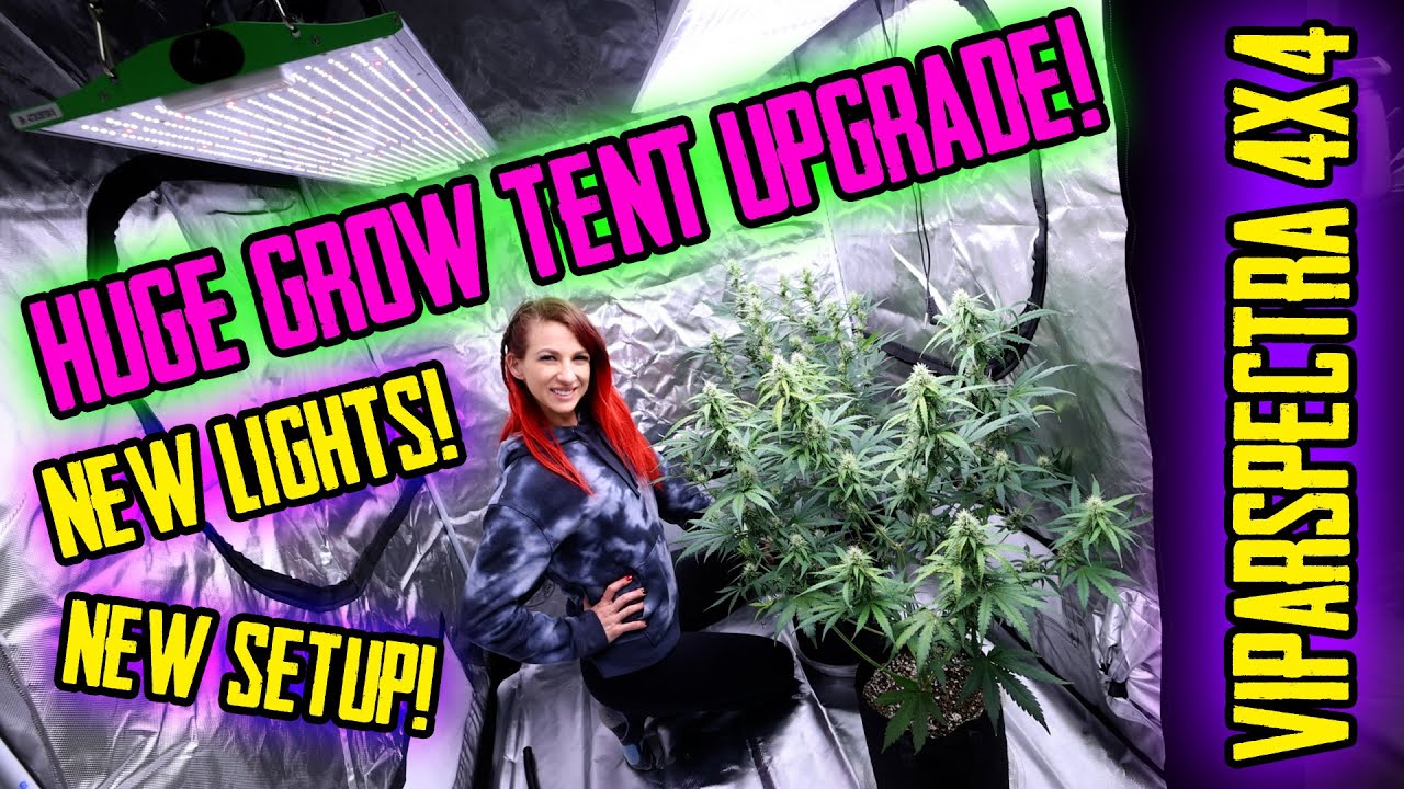 Pimp My Grow Tent! Huge Upgrades! Viparspectra 4x4 and New Grow Lights!