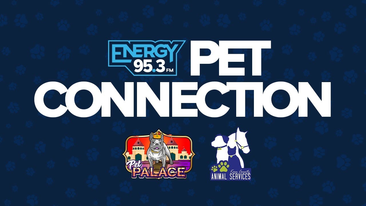 Energy Pet Connection 12/13