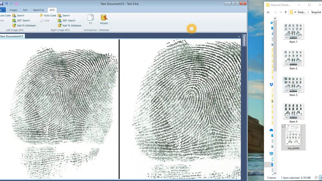 Search A Fingerprint Record on AFIS - The Basics