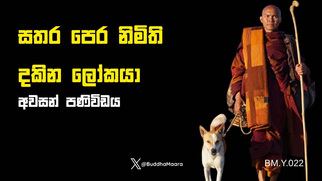 සතර පෙර නිමිති දකින ලෝකයා - BM.Y.022 #walkforpeace #exitthematrix #buddhamaara #vibrationmessage