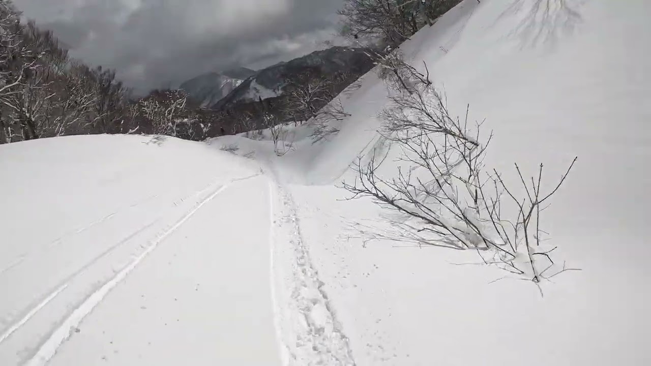 烏ヶ山　カーラ谷滑走　良い雪でした❤︎