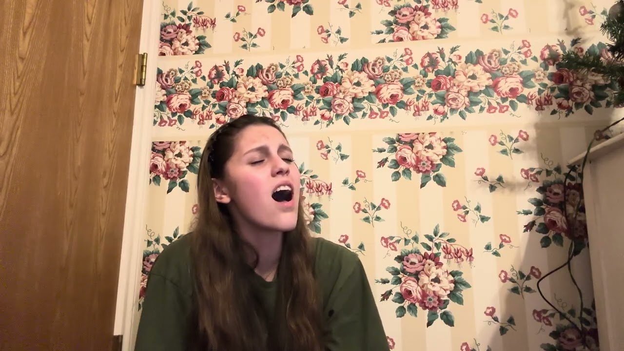 All I Wanted - Paramore (Cover)
