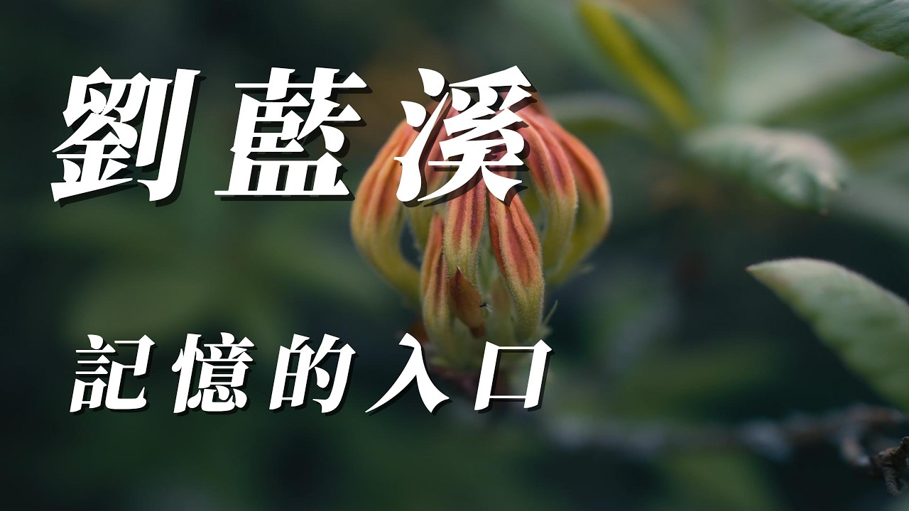 （劉藍溪）記憶的入口（精挑細選）謝謝朋友們🪴🪴🪴🪴🎍