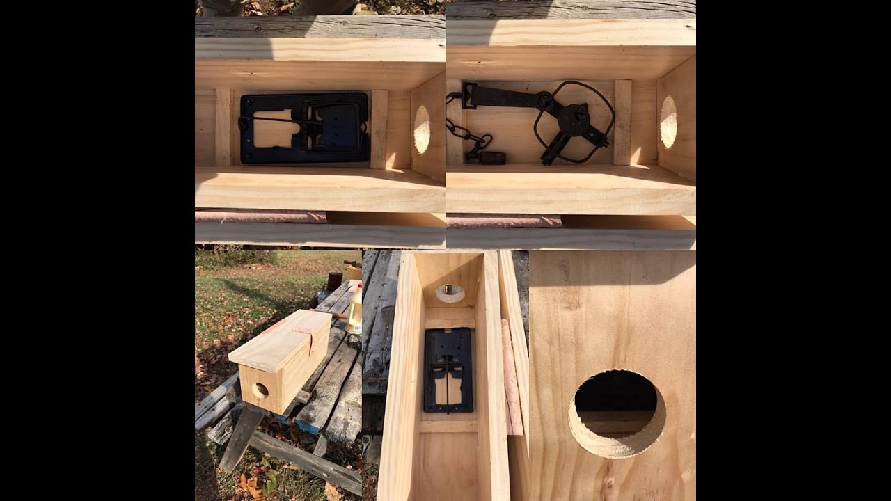 Simple Box Traps Weasle Box