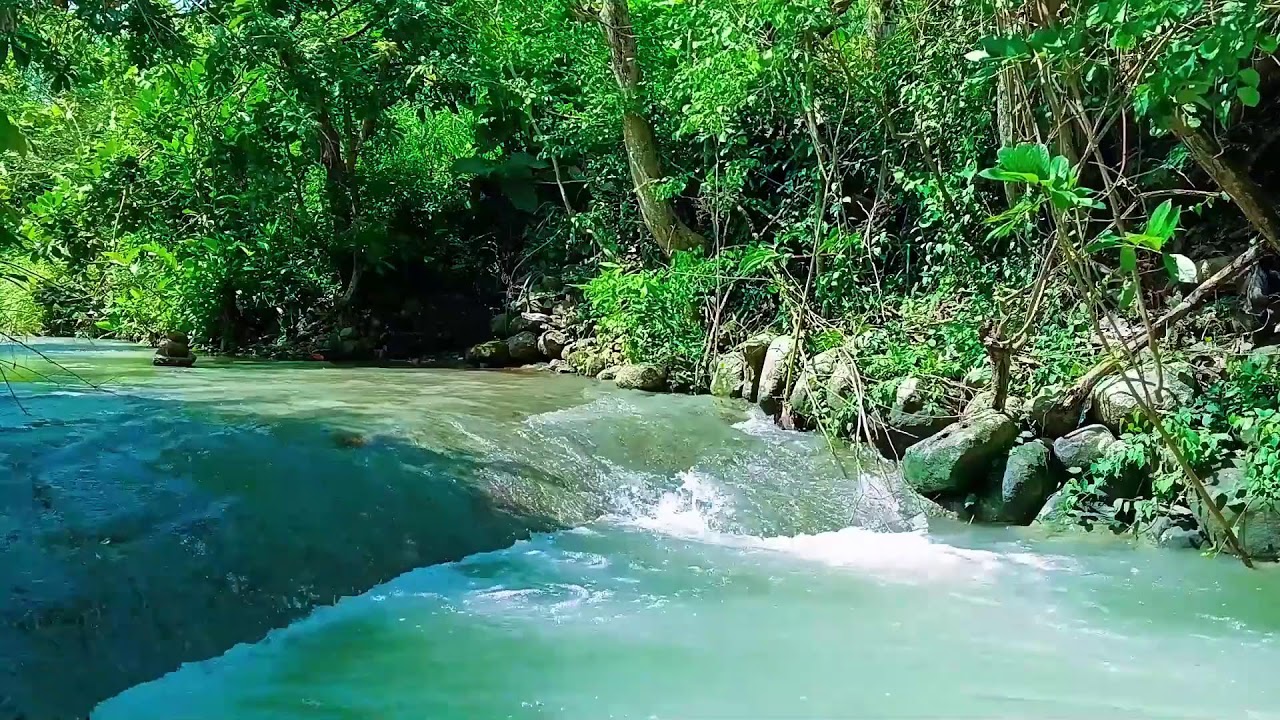 Green Valley Waterfall Gentle Flowing Water for Instant Calm