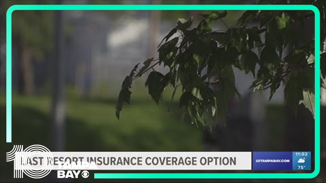 If Citizens Insurance drops you, what are your options?