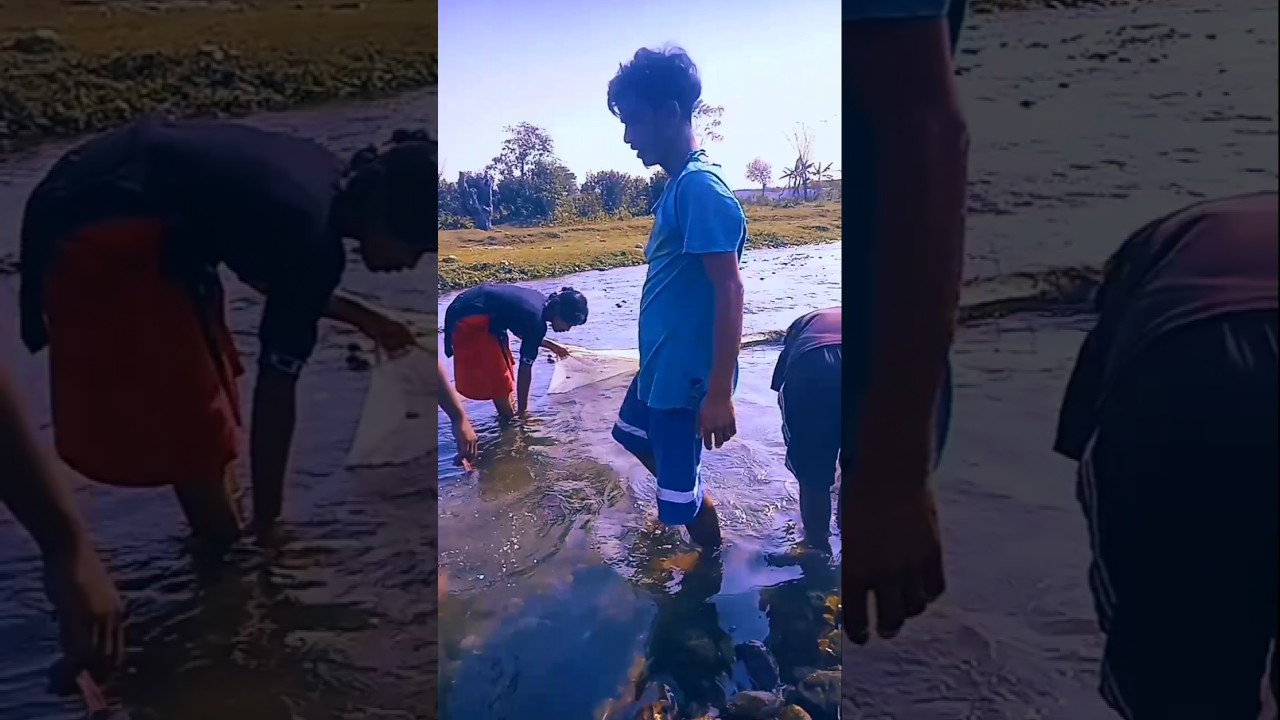 shorts video| Sohrai Haku Katkom Din shorts video 2026| new short video