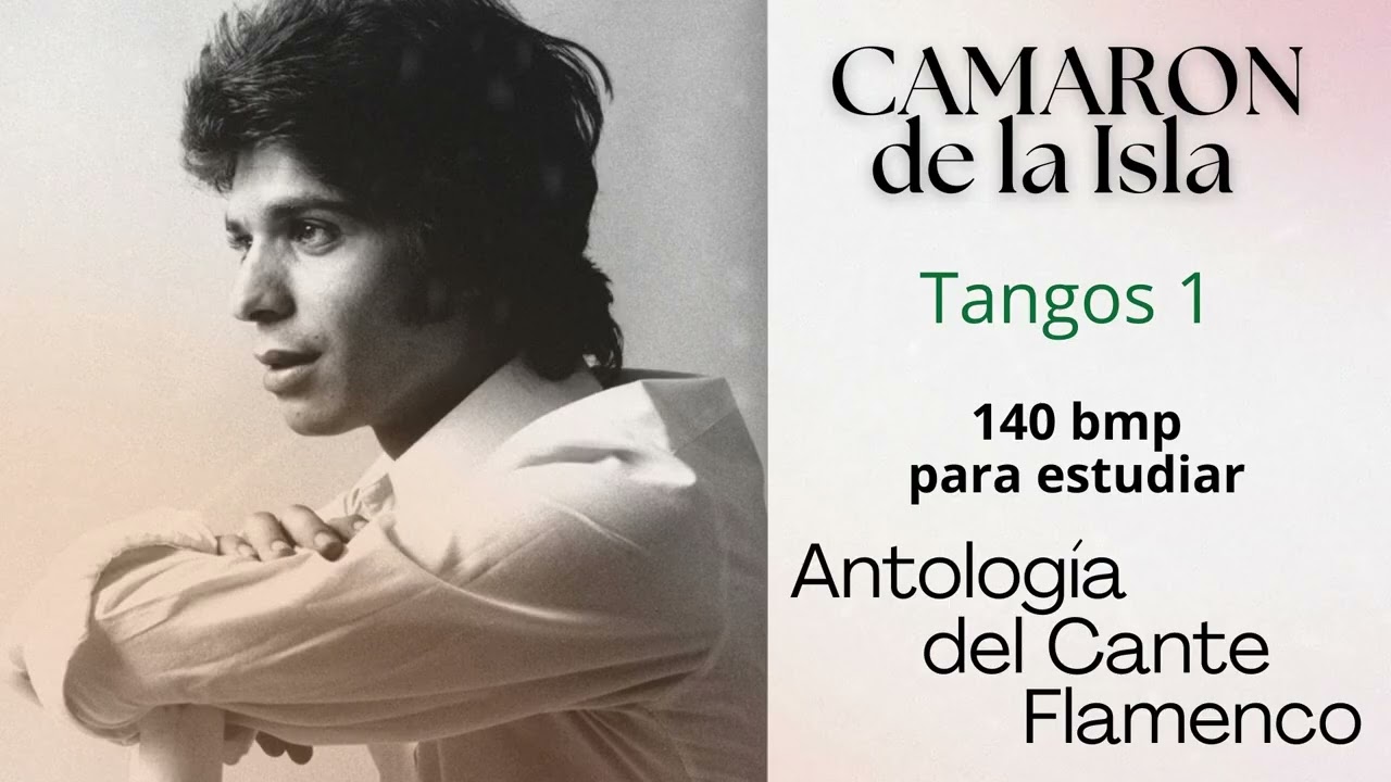 tangos para estudiar 140 bmp