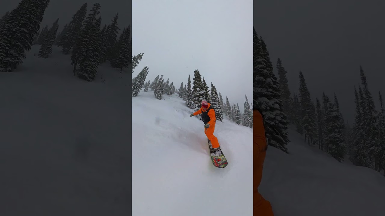 POWDER SNOWSURFING