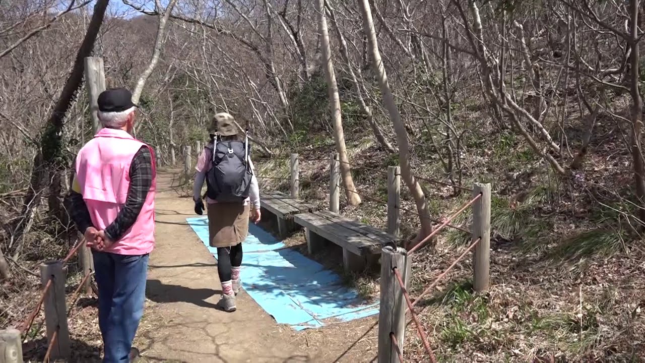 Let's go to see the Liverworts! Saruyama 332m (Wajima City, Ishikawa Prefecture)