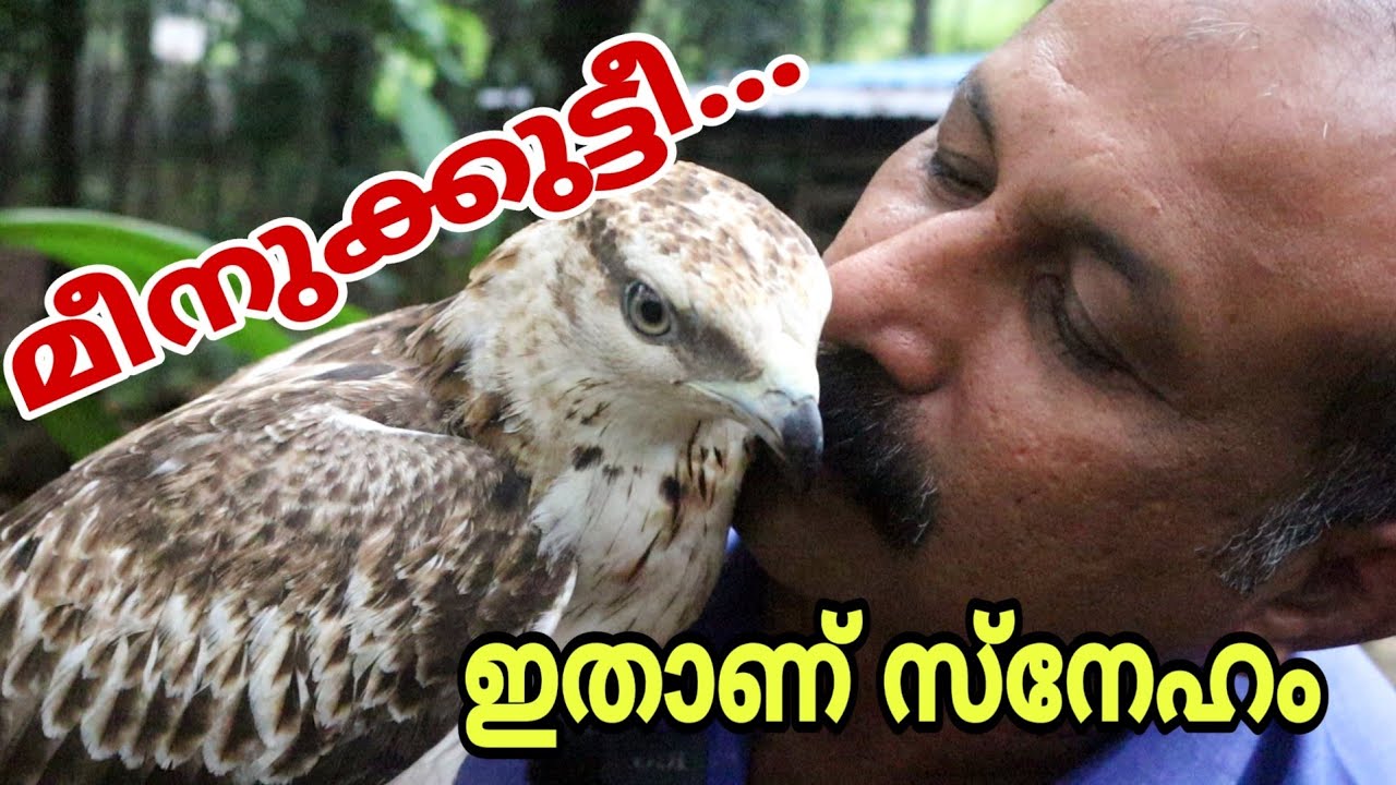ഞാനും ഈ വീട്ടിലെ അംഗമാണ്.|
