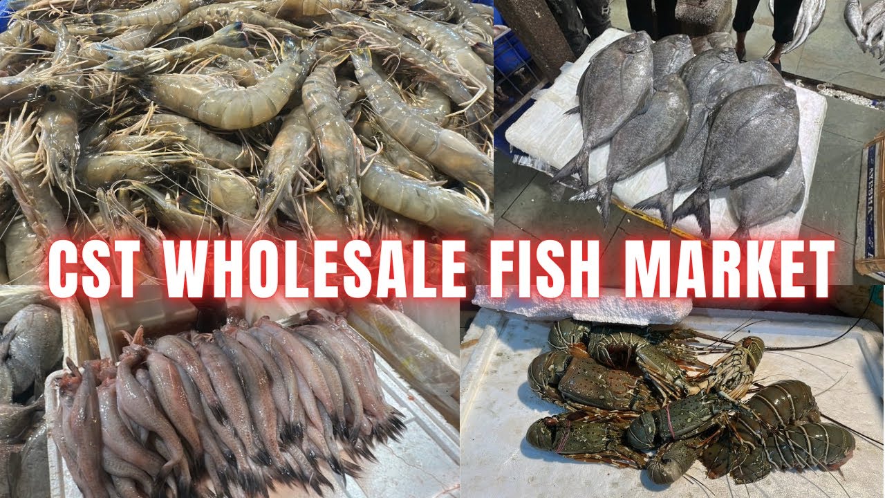 Mumbai CST Wholesale Fish Market Latest| Biggest Wholesale Fish Market| Cheap Fish Market in Mumbai🐟