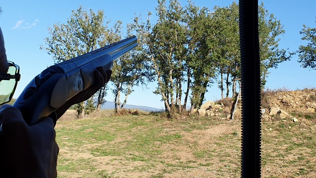 Divertimento al Tav Vetralla con Cinghiale entrante 🤣
