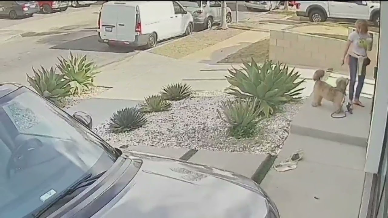 Video shows missing mom Heidi Planck in downtown Los Angeles minutes before her disappearance
