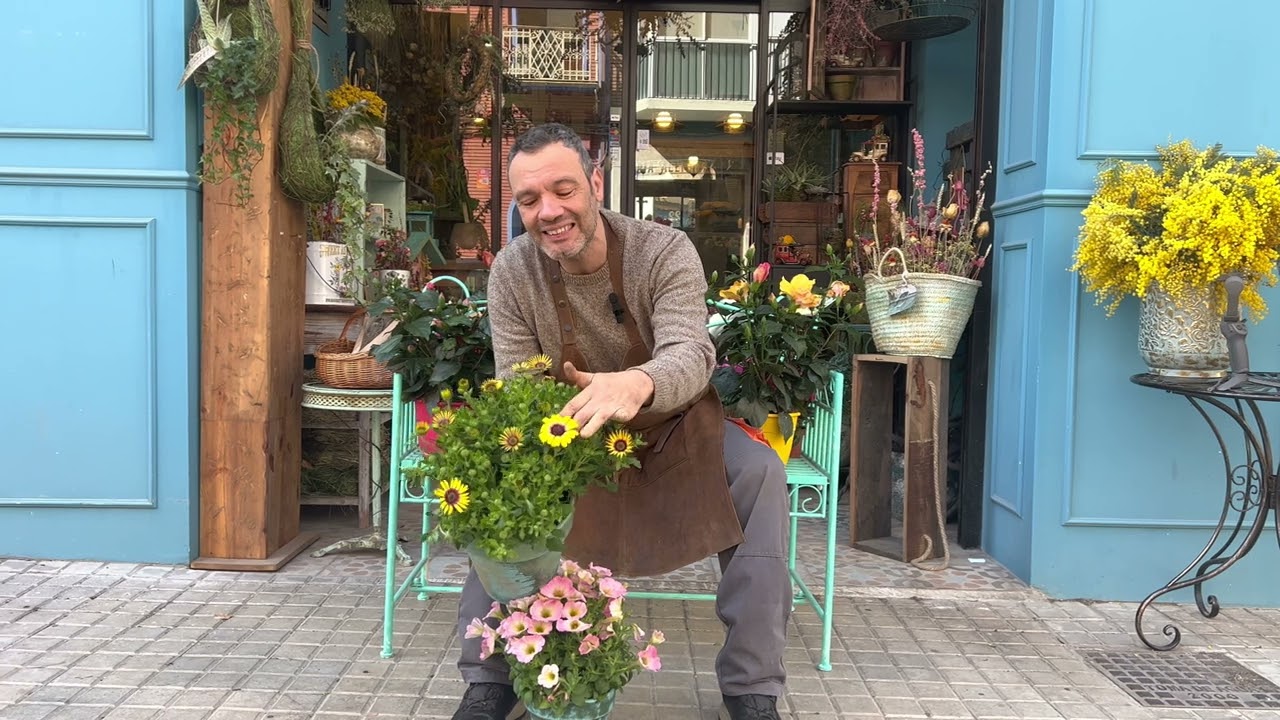 Plantas de primavera - Como ajardinar mi terraza
