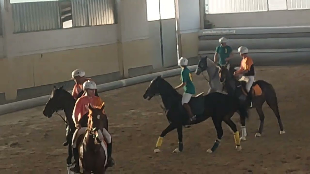 Coppa Italia Horseball 2024! - None (To)