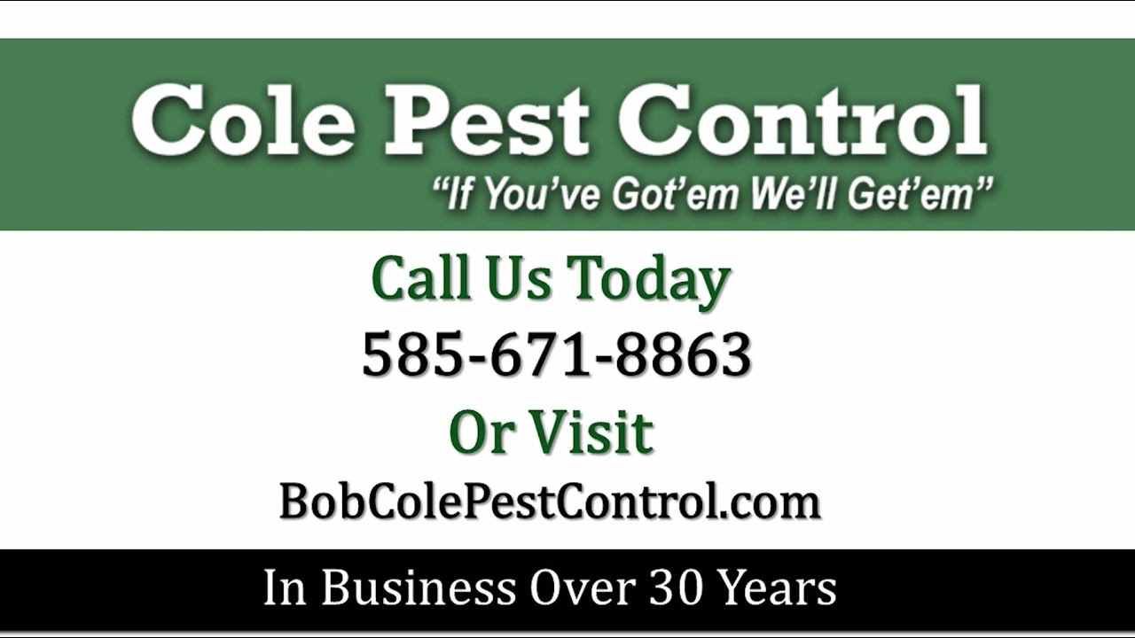 Cole Pest Control | Rochester NY Pest Control