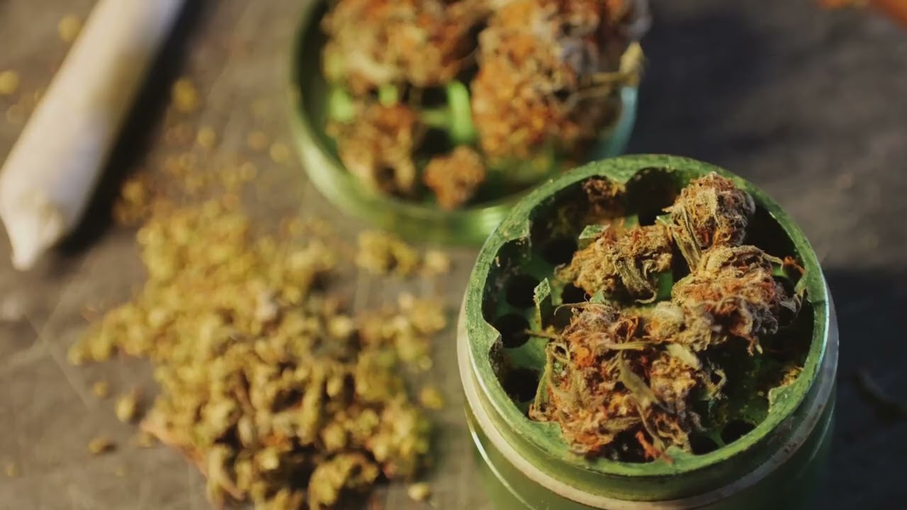 Pre approved Micro cannabis license applicant with live rosin endorsement seeks INVESTORS