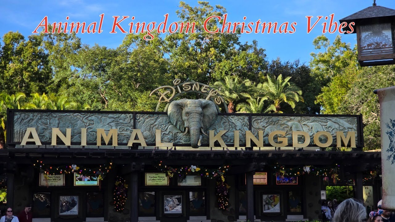 Disney World's Animal Kingdom Christmas Vibes 2025 (and past footage from 2023) | 4K