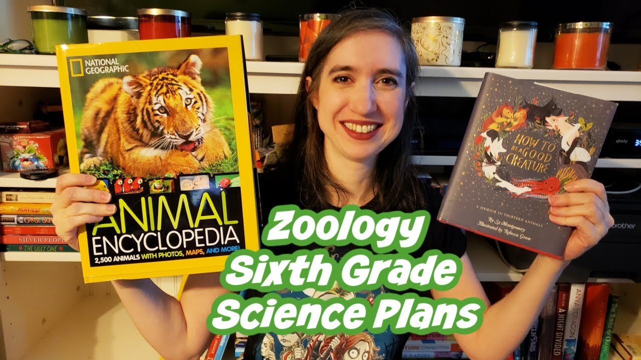 Sixth Grade Homeschool Curriculum - Zoology