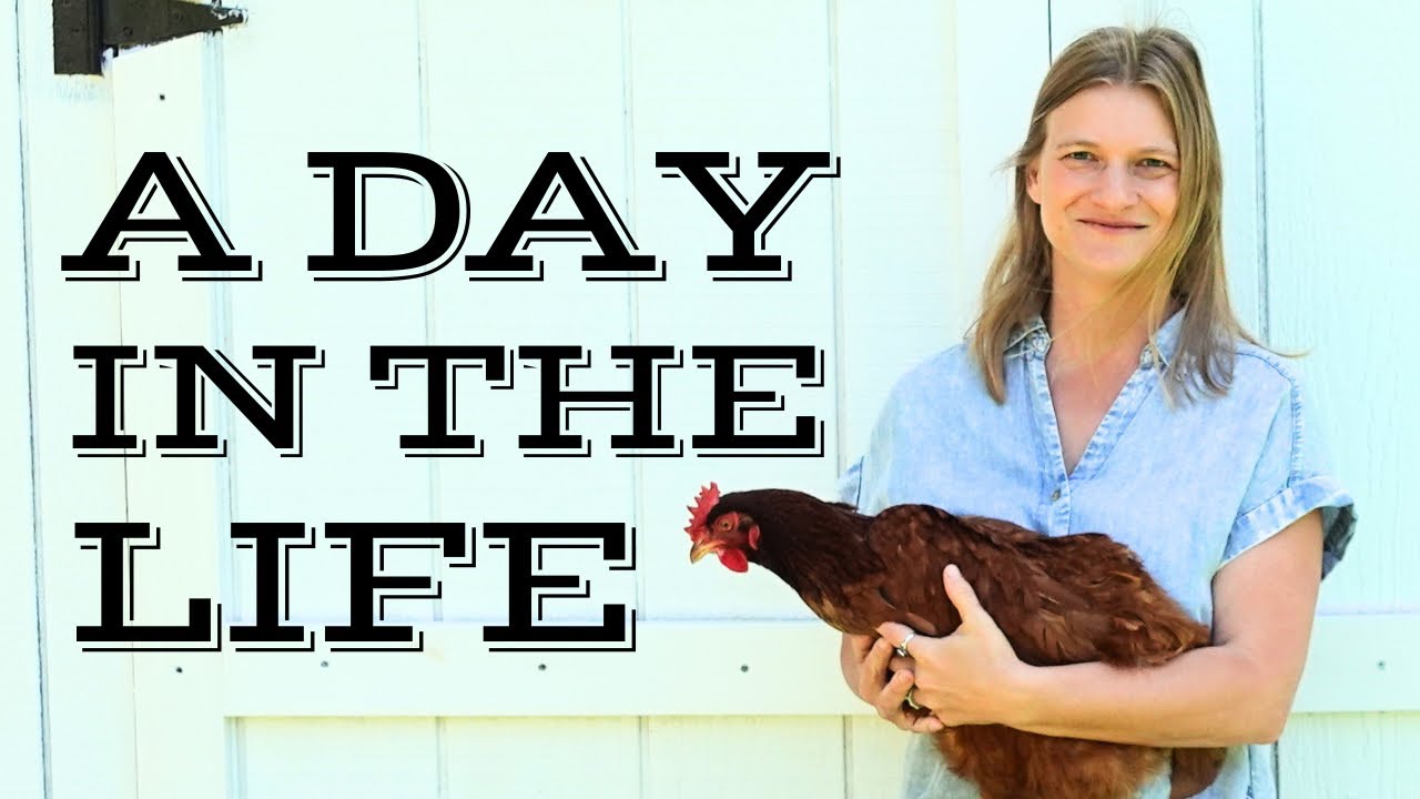 REAL Life As A Homesteading Mom 