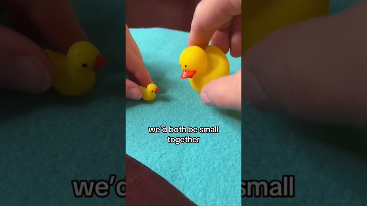 doctor waffles compilation