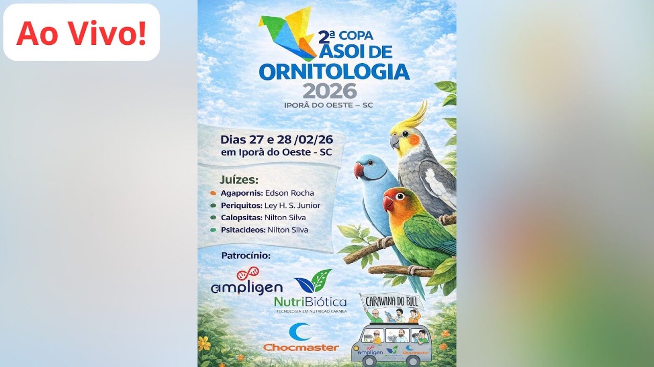 AO VIVO DENTRO DE UM CAMPEONATO!!!