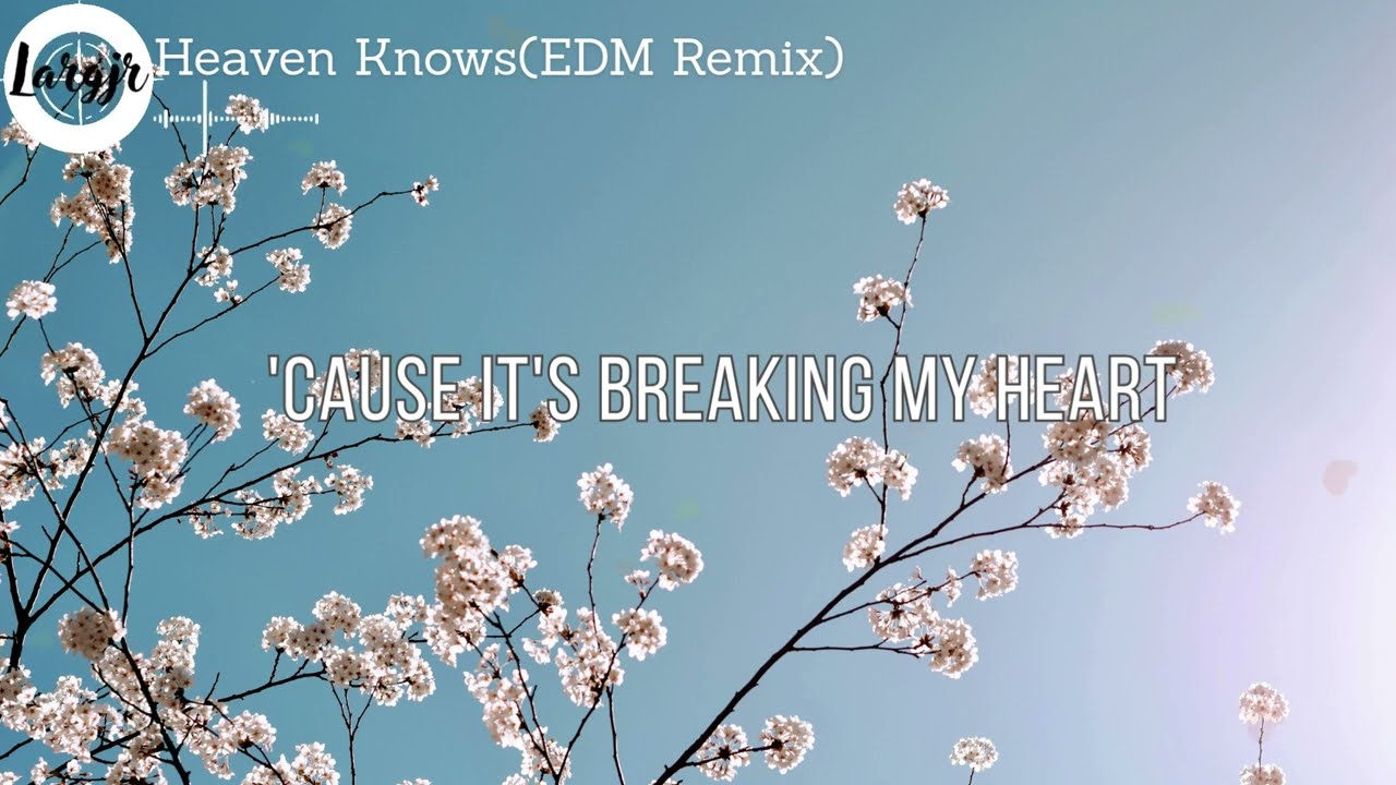 Rick Price-Heaven Knows(EDM Remix)